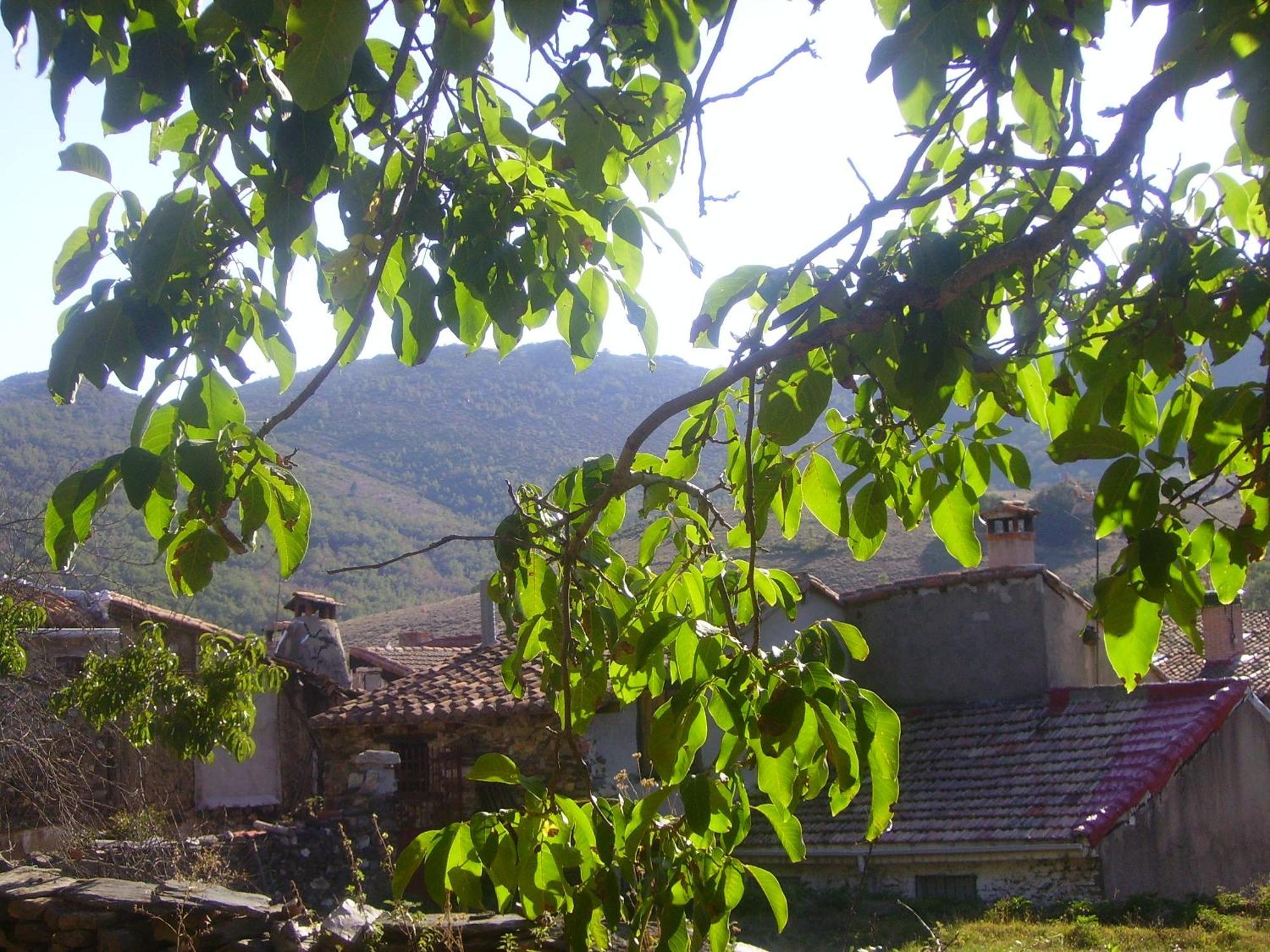 La Puebla de la Sierra Madre Terraゲストハウス エクステリア 写真